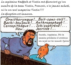 Fin team Tintin