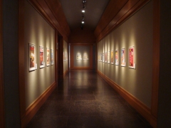 spiroucivi5