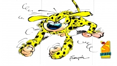 2397 - Marsupilami