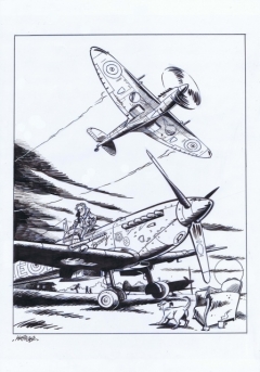 798877Spitfire