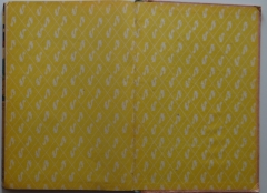 Pages de garde ETB jaunes