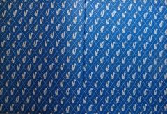 Album 106 PG Bleue
