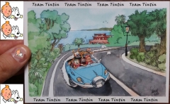 Cartes Tintin for ever